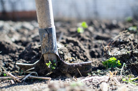 Production en agriculture Biologique